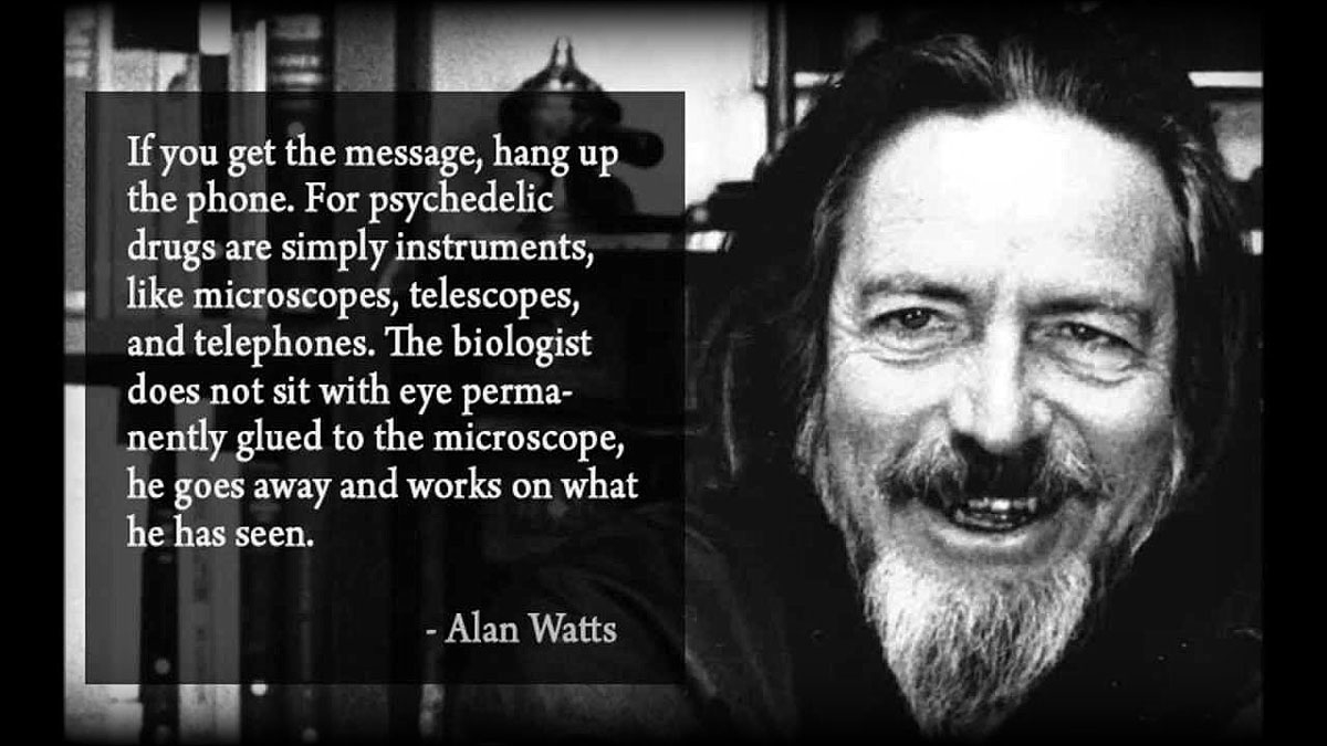 watts quote psychedelics