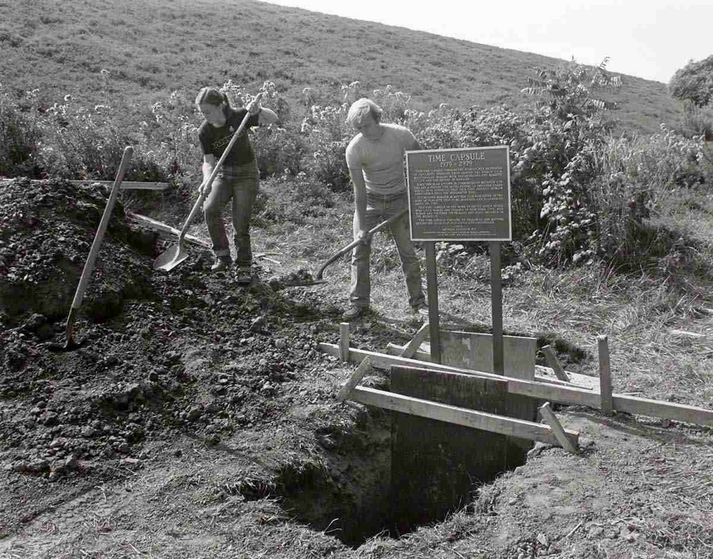 agnes denes rice tree burial 1968