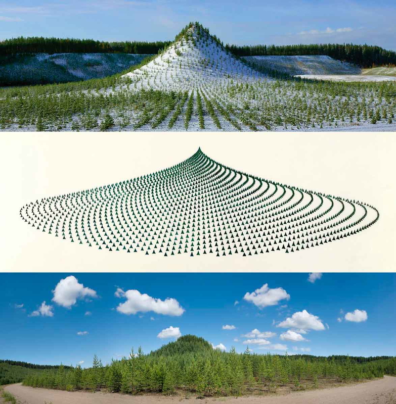 agnes denes tree mountain living time capsule 1992 1996