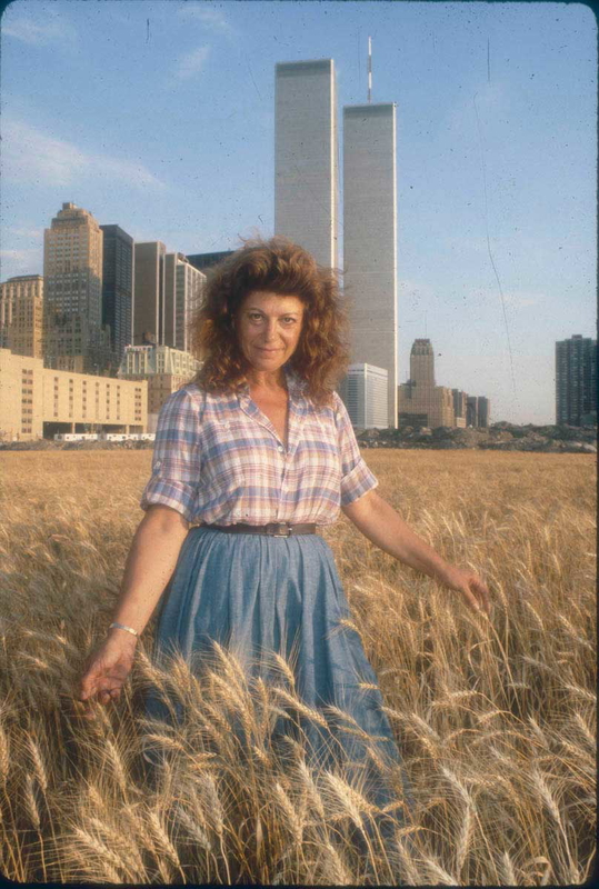 agnes denes wheatfield 1982