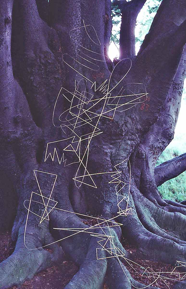 andy goldsworthy grass stalk line sculpture