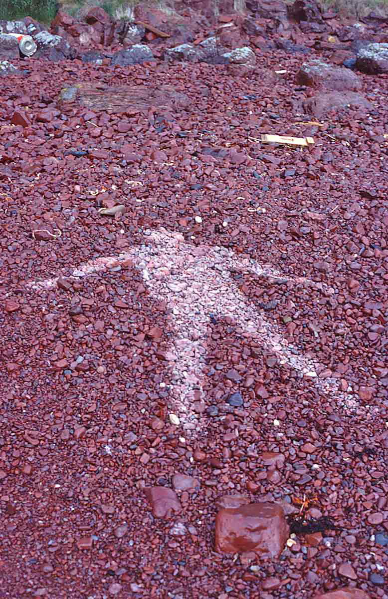 andy goldsworthy rain shadow