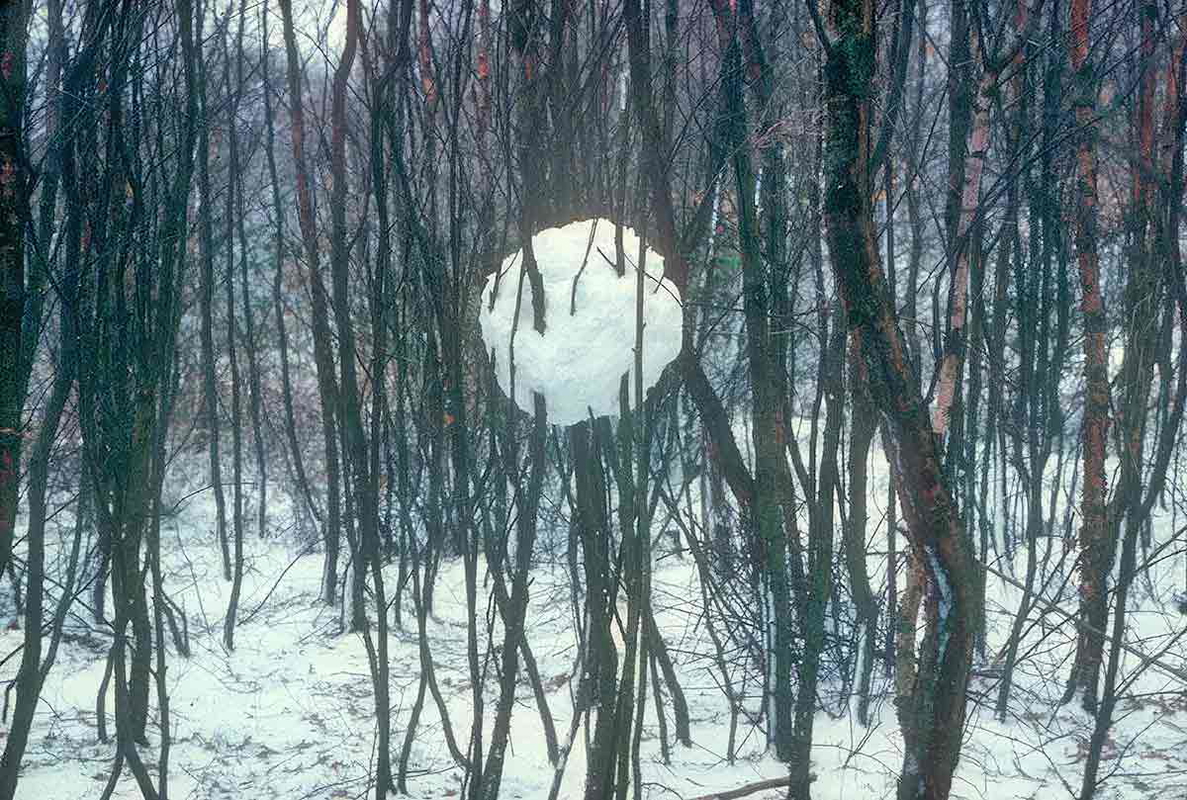andy goldsworthy snowball in trees sculpture