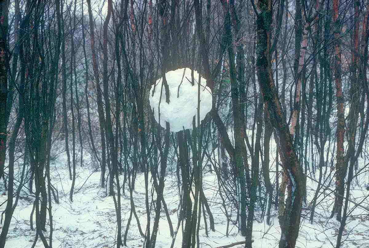 アンディ・ゴールズワージー ランドアートを通じた地球との共著