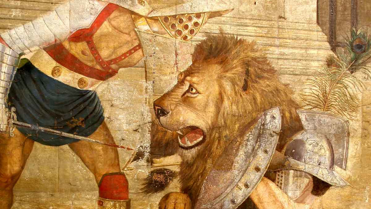 barbary lion colosseum