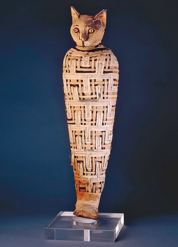 cat mummy
