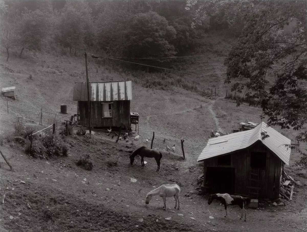 eagles nest hollow