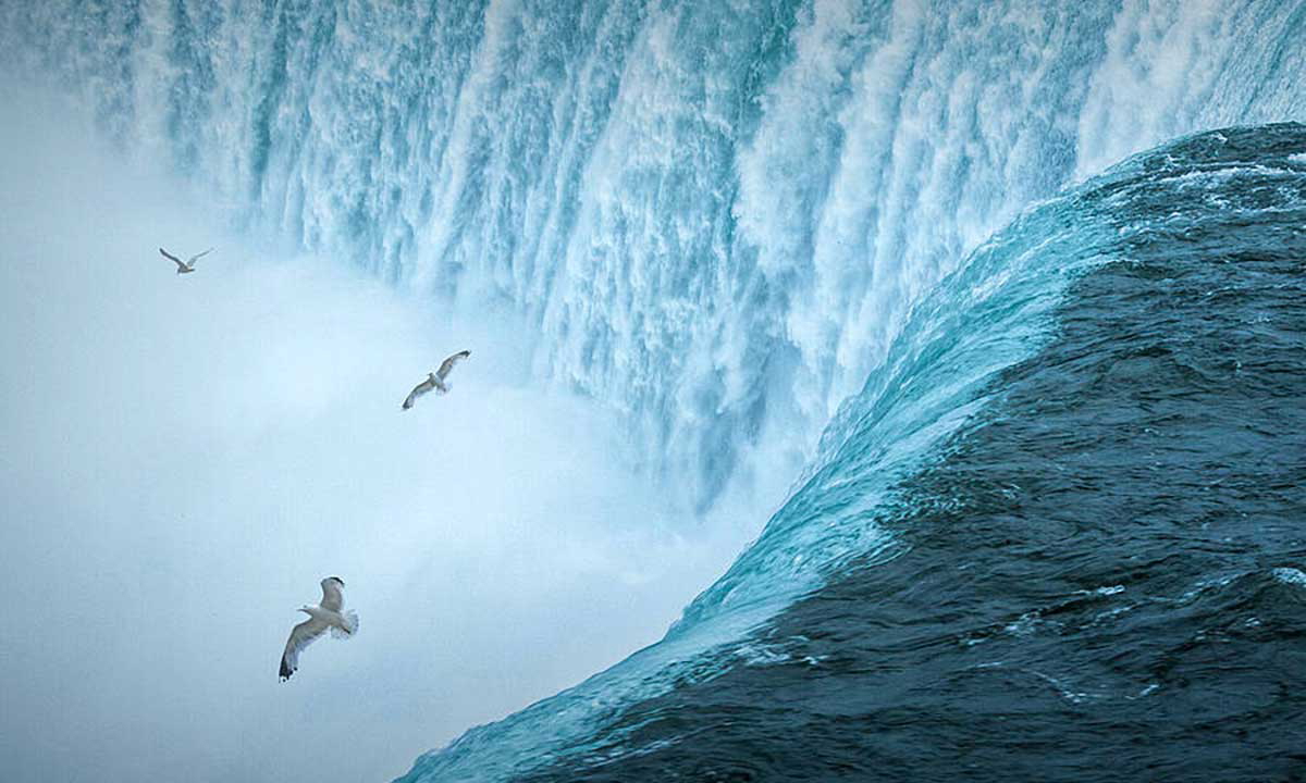 niagara horseshoe falls gulls
