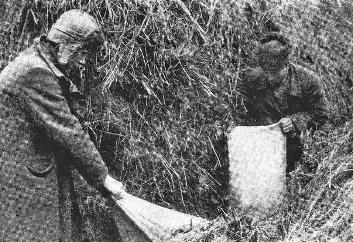 forced collectivization workers