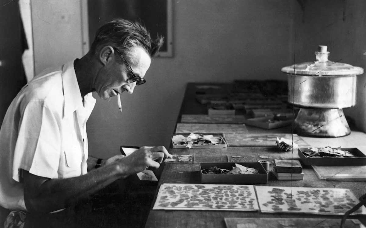 gerald lankester harding dead sea scrolls