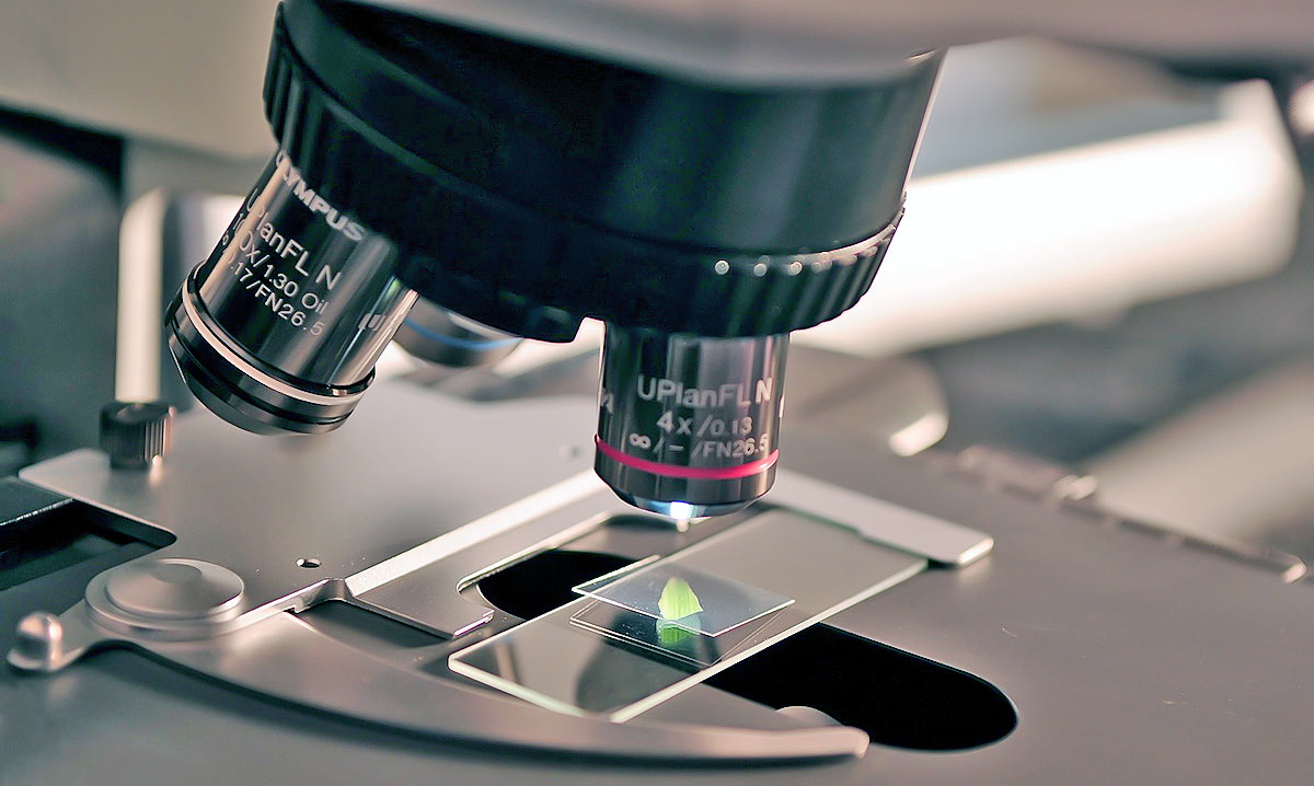 microscope photograph colour