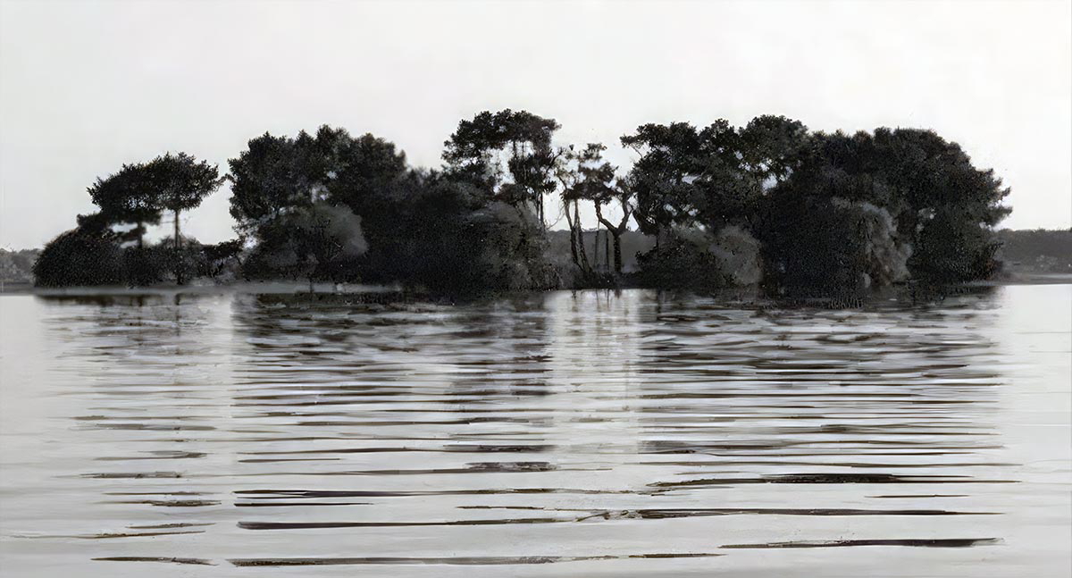 nazino island trees