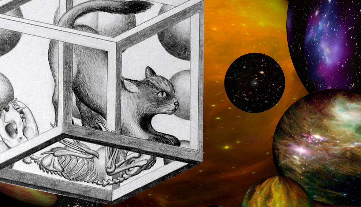 quantum immortality can people become immortal