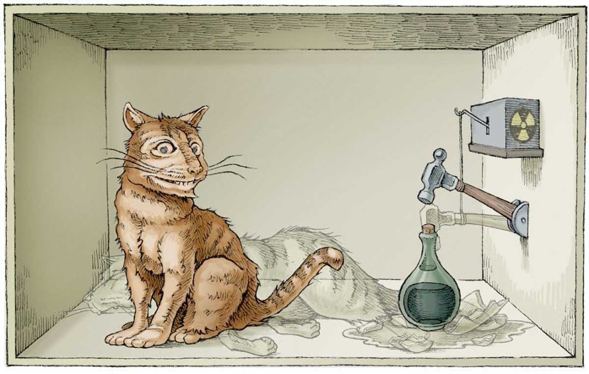 schrodinger-cat-box