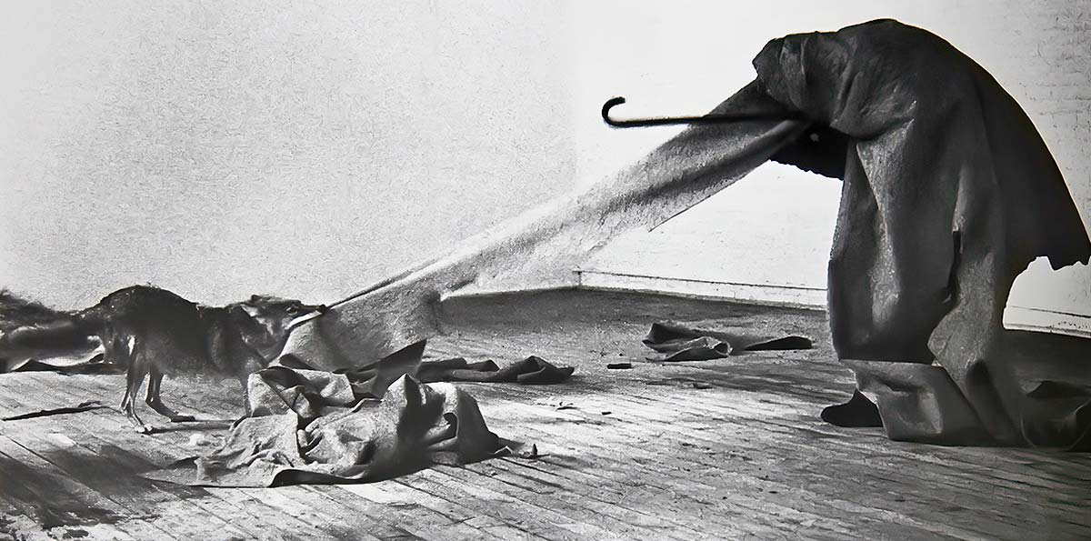 shamanism beuys america photo