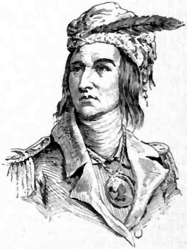 sketch drawing tecumseh