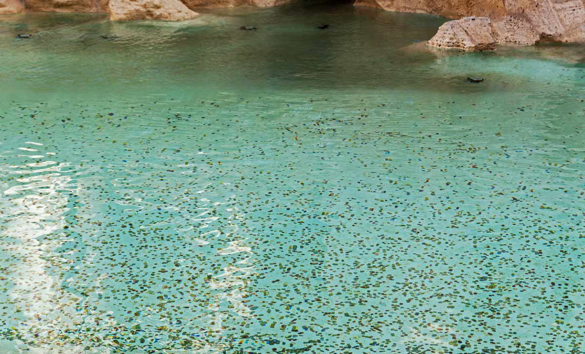 trevi fountain coins