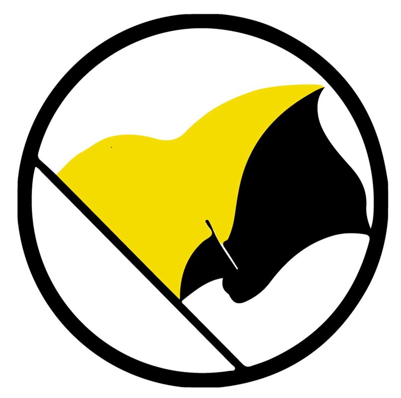 anarcho capitalism flag