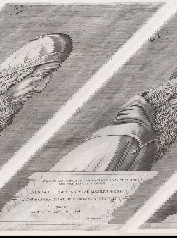 aristotle drawings sketch vico