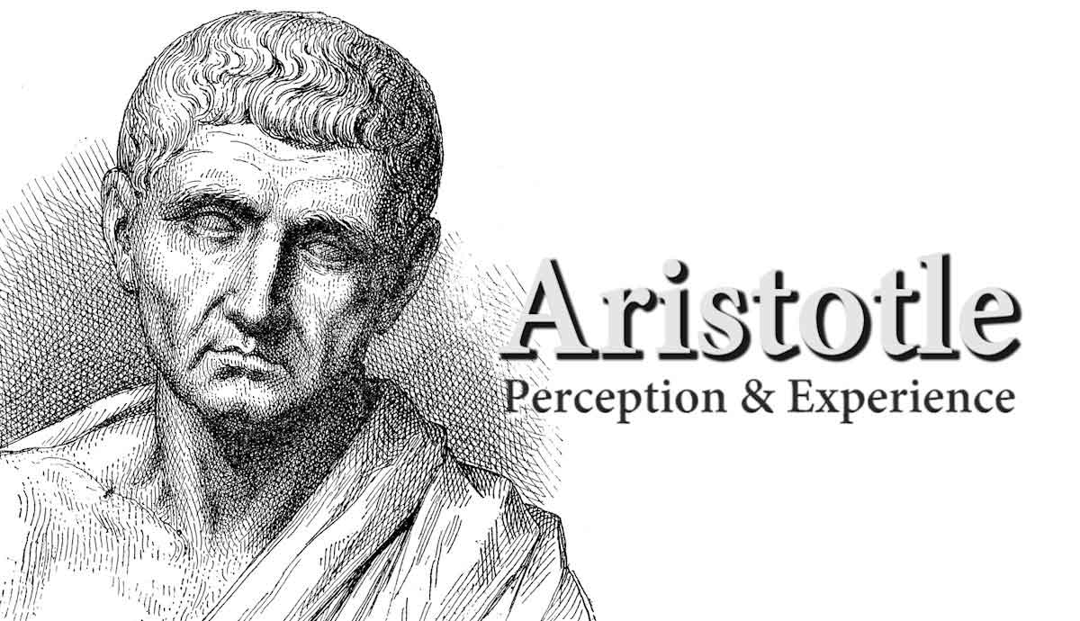 aristotle theory perception experience