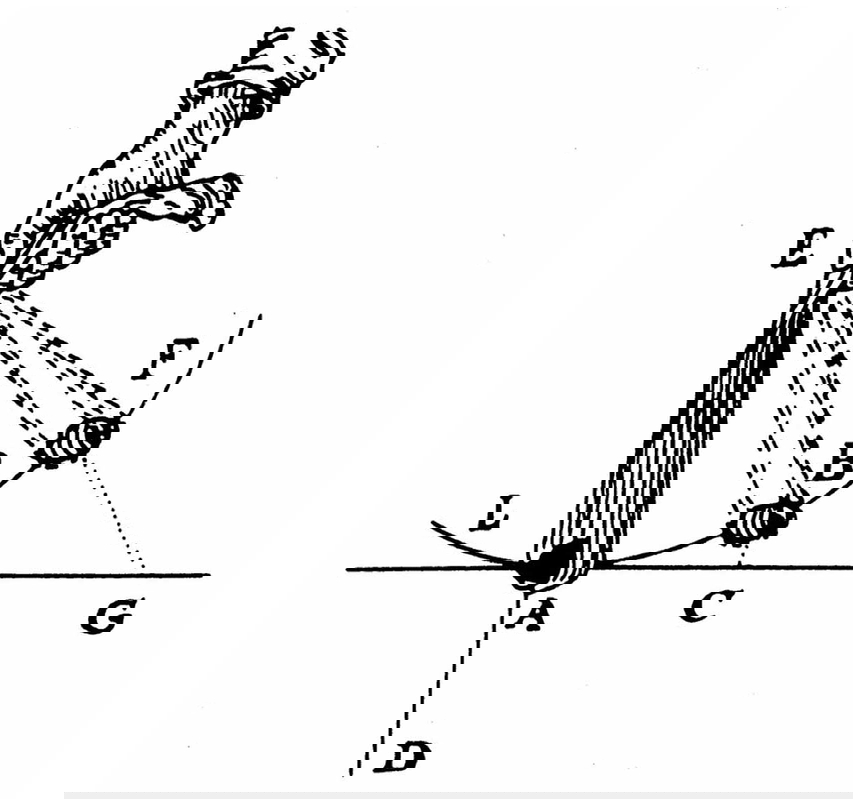 centrifugal force