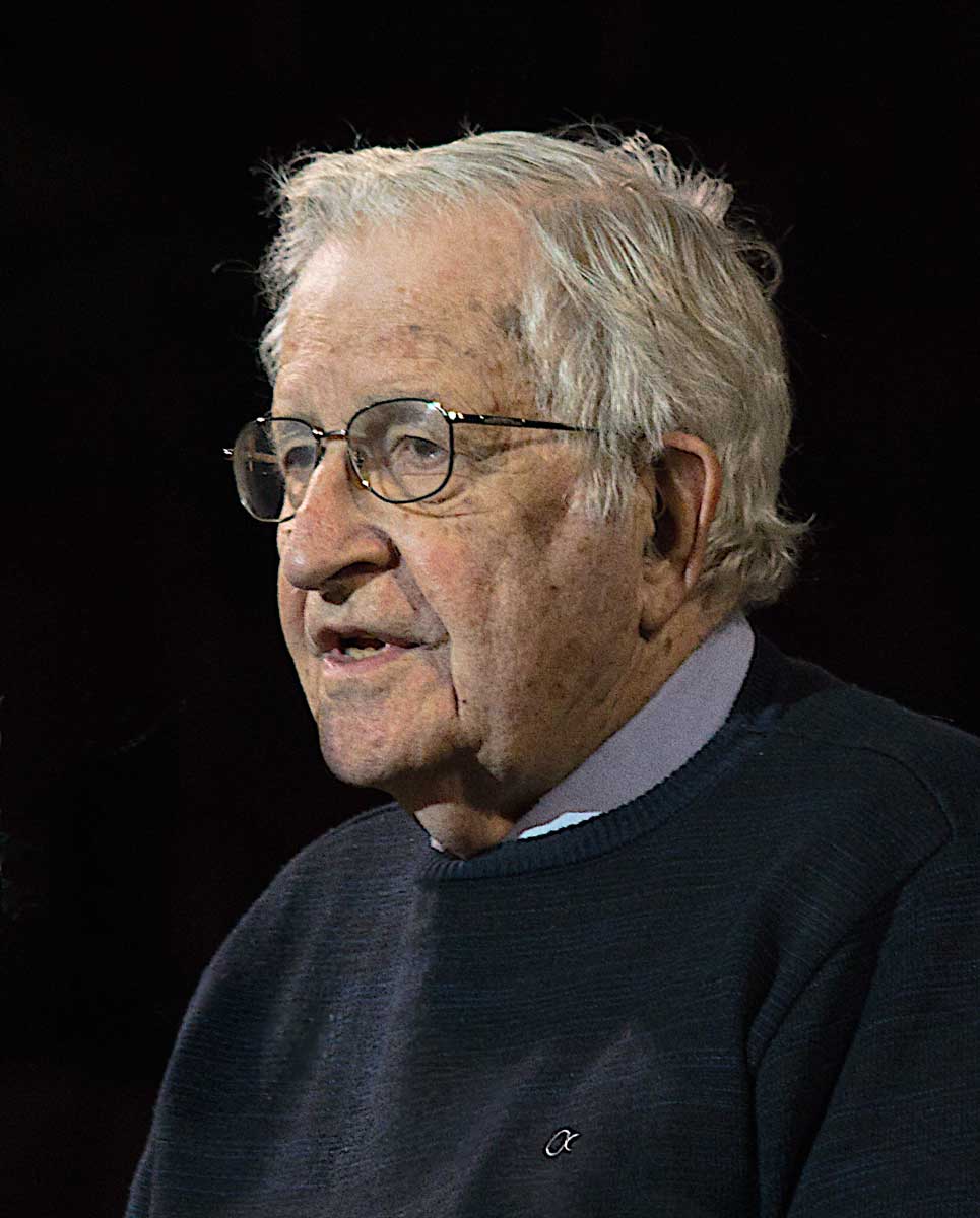 chomsky photo portrait