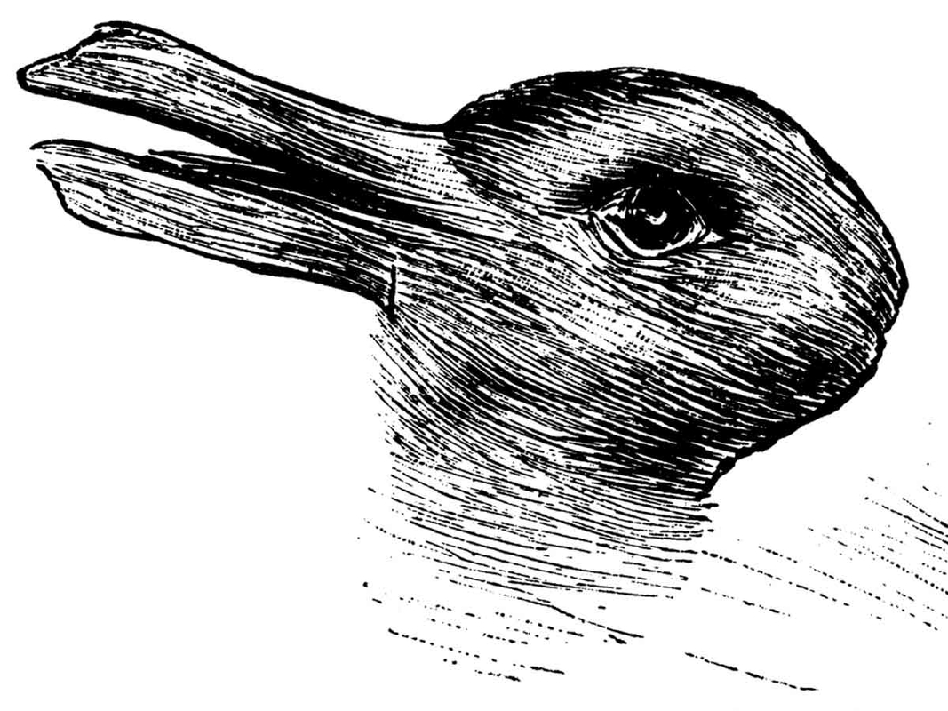 duck rabbit