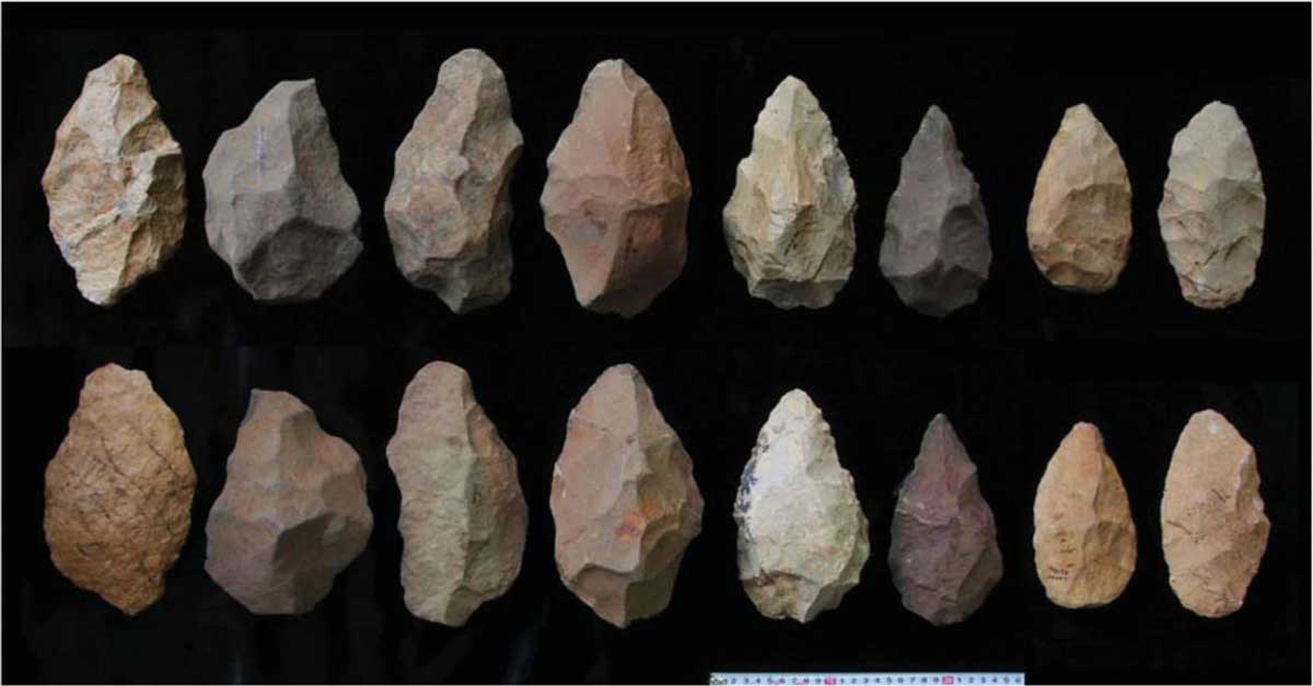 homo erectus tools