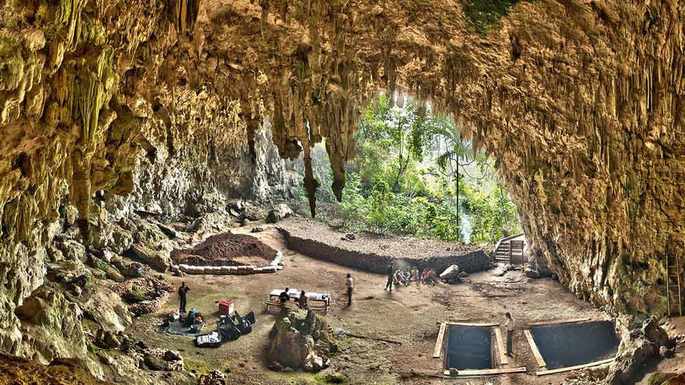 homo floresiensis cave