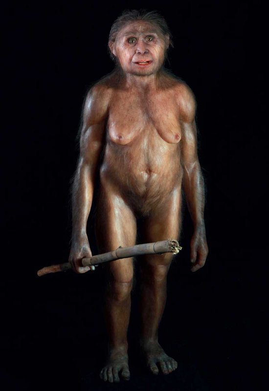 homo floresiensis flo figure