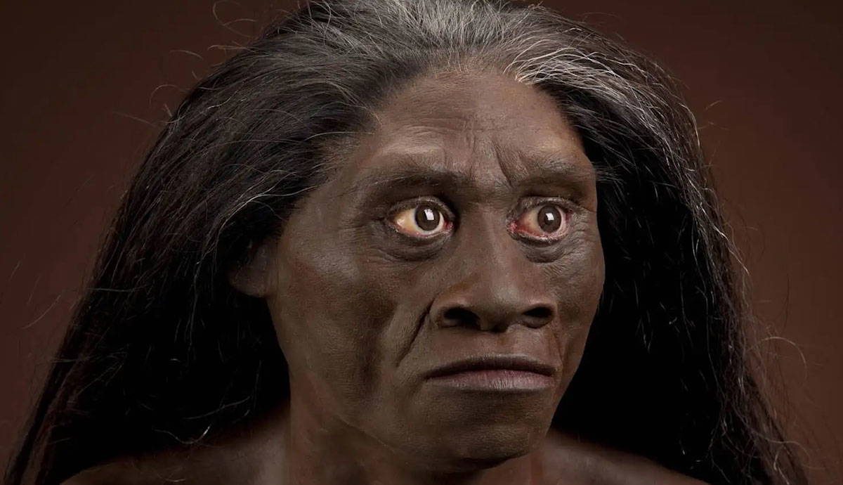 homo floresiensis what do we know hobbit people