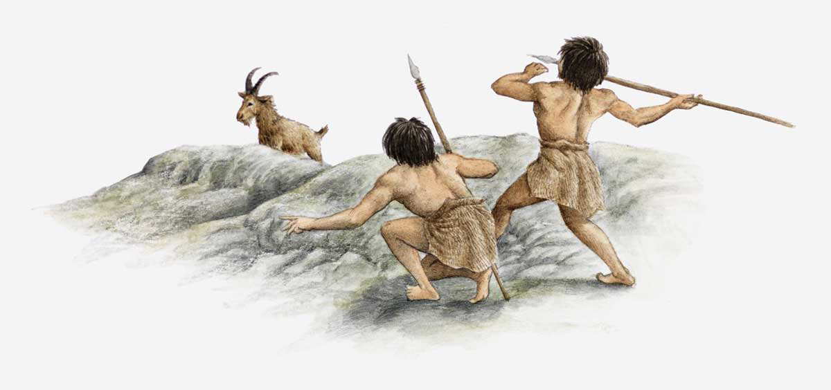 human evolution spear hunting