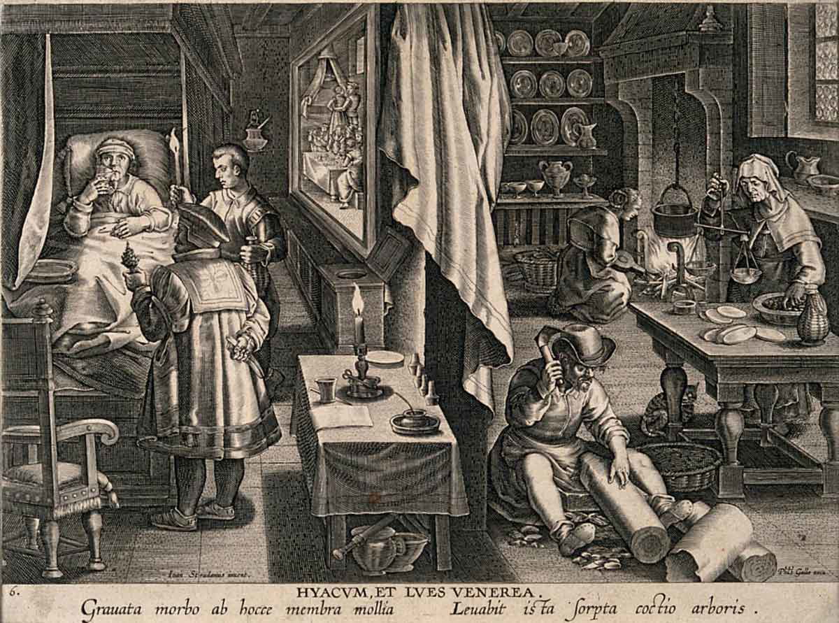 preparation guaiacum syphilis