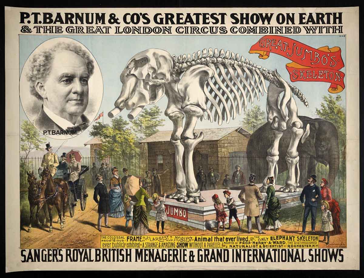 pt barnum the greatest show on earth poster