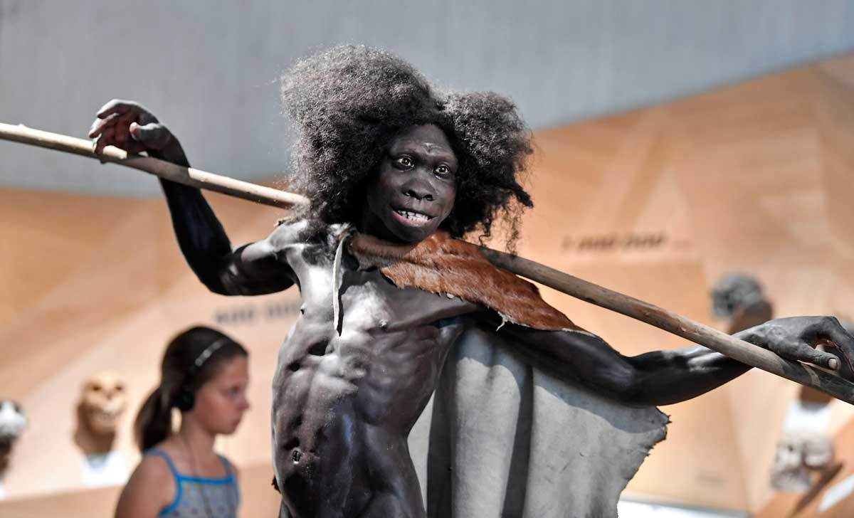 turkana-boy-reconstruction
