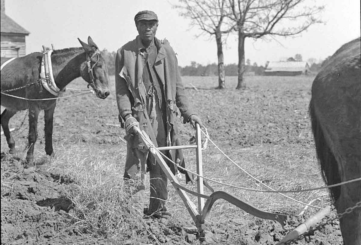 african american sharecropper alabama
