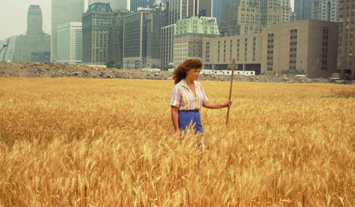 agnes denes wheatfield confrontation 1982