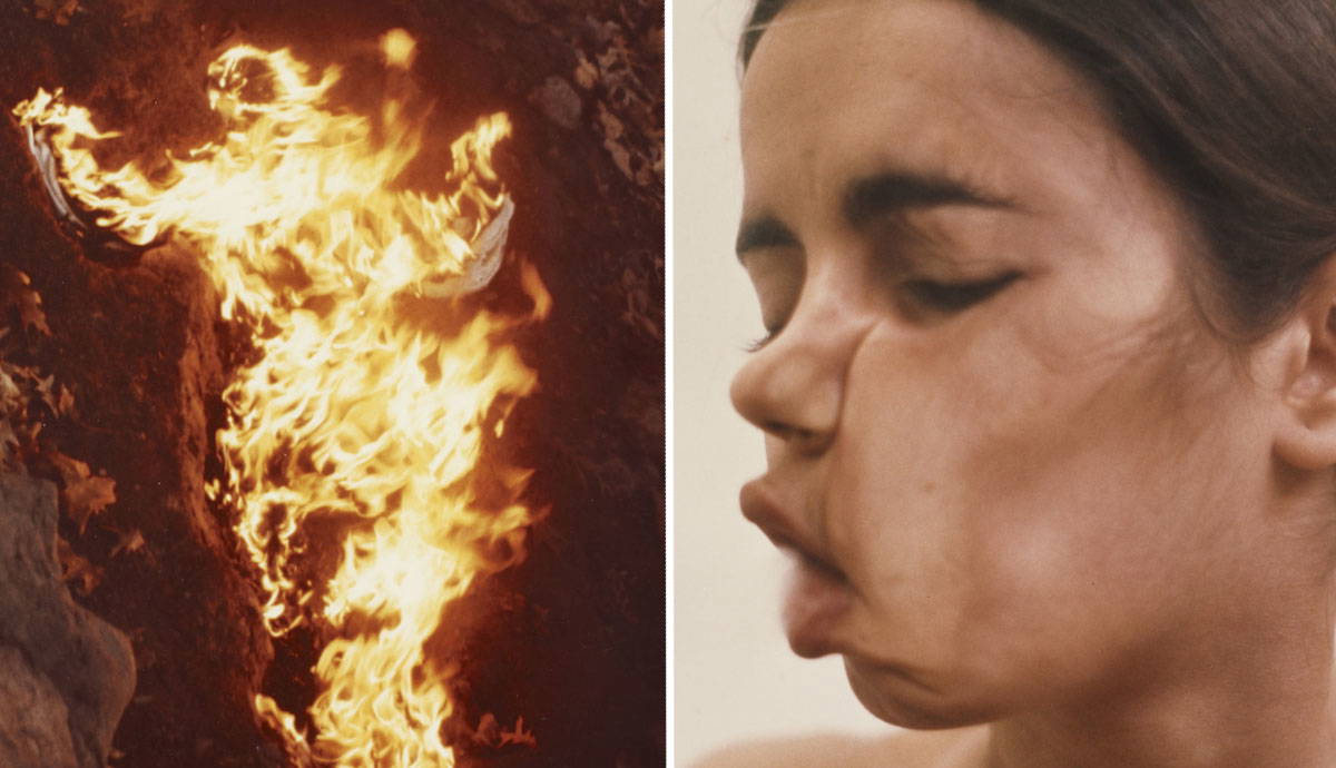 ana mendieta environmental art