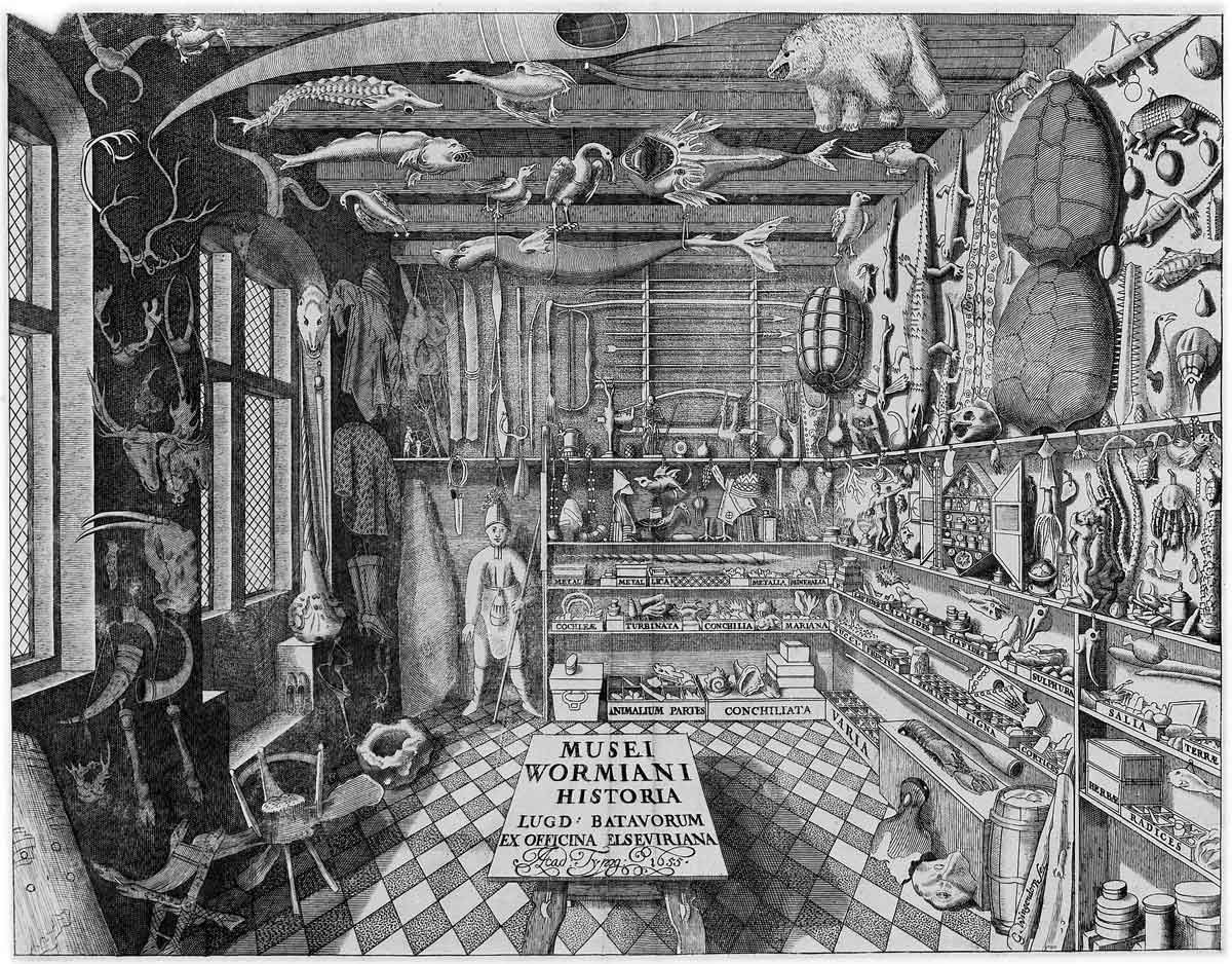 cabinet museum wormianum