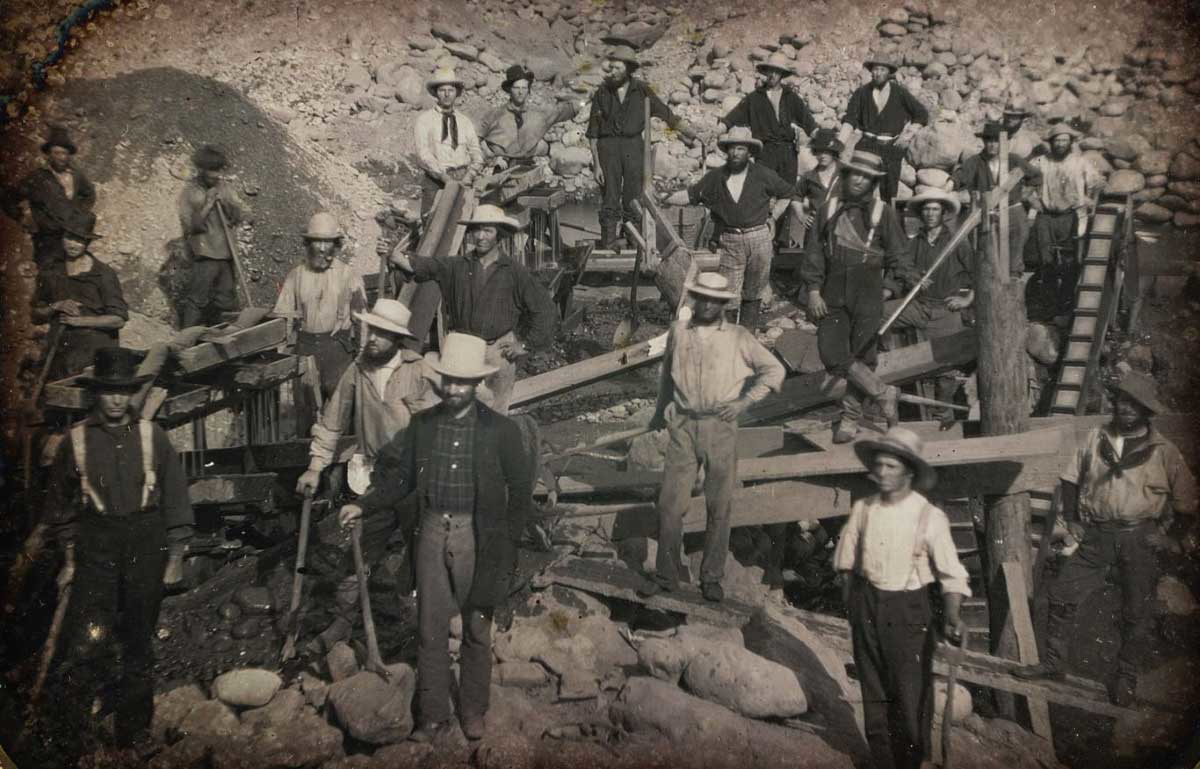 california gold miners