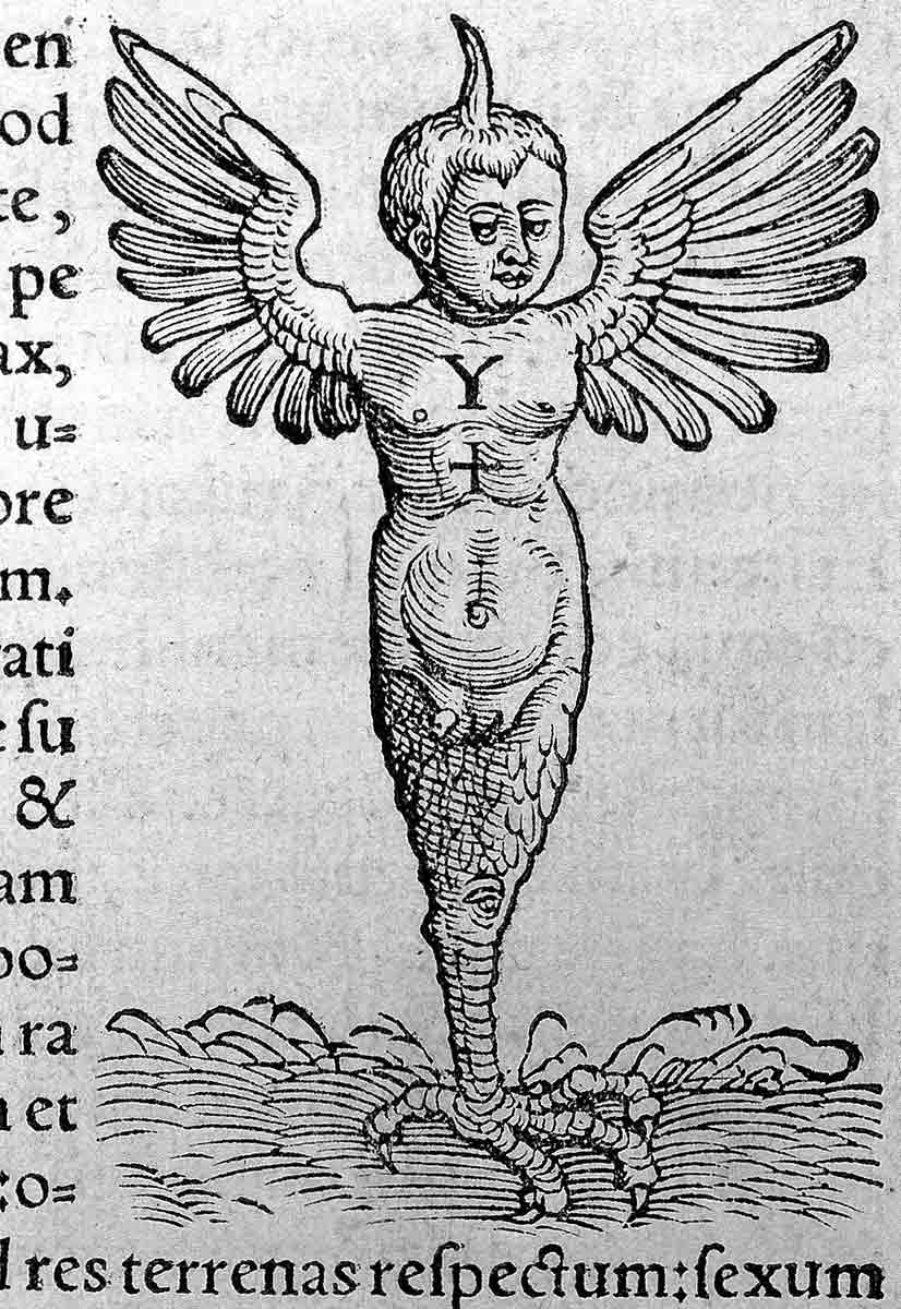 christophorus froschoverus ravenna monster