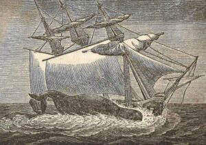 Whaleship Essex: The Terrifying Story That Inspired Moby Dick