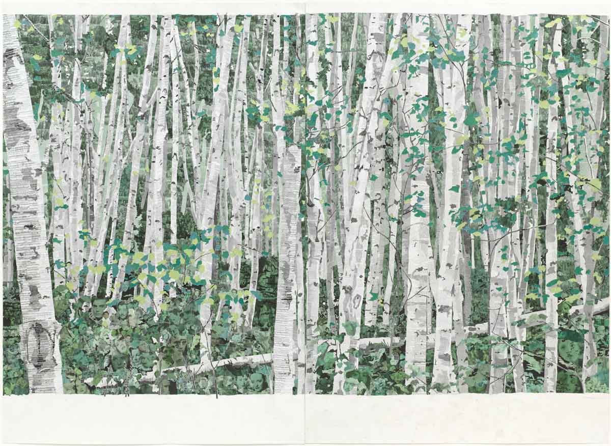 forest before the trees