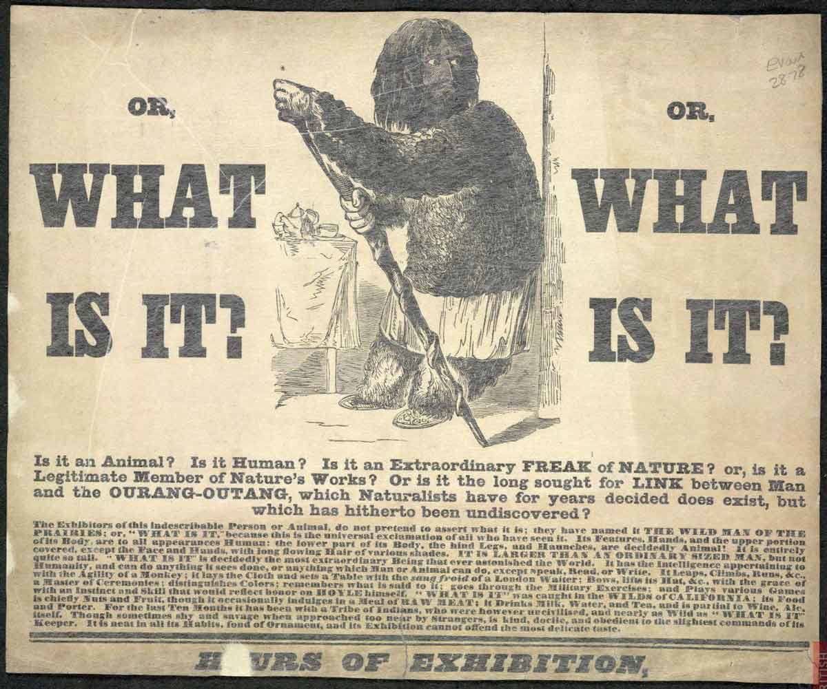freak show what is it