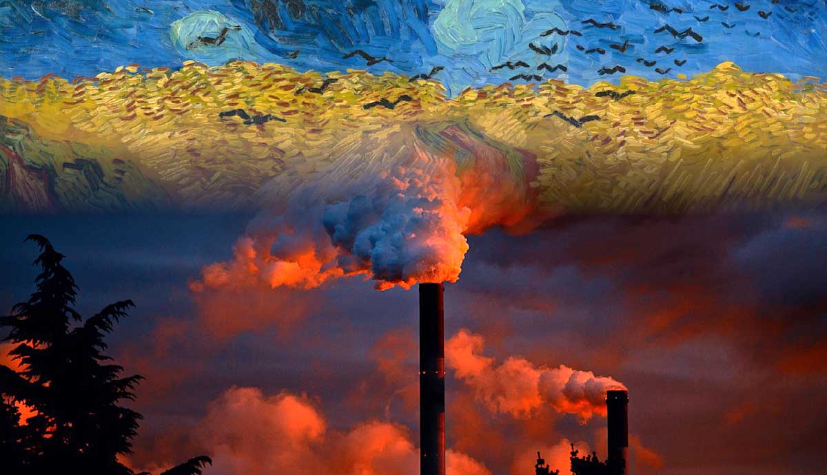 key ideas environmental ethics