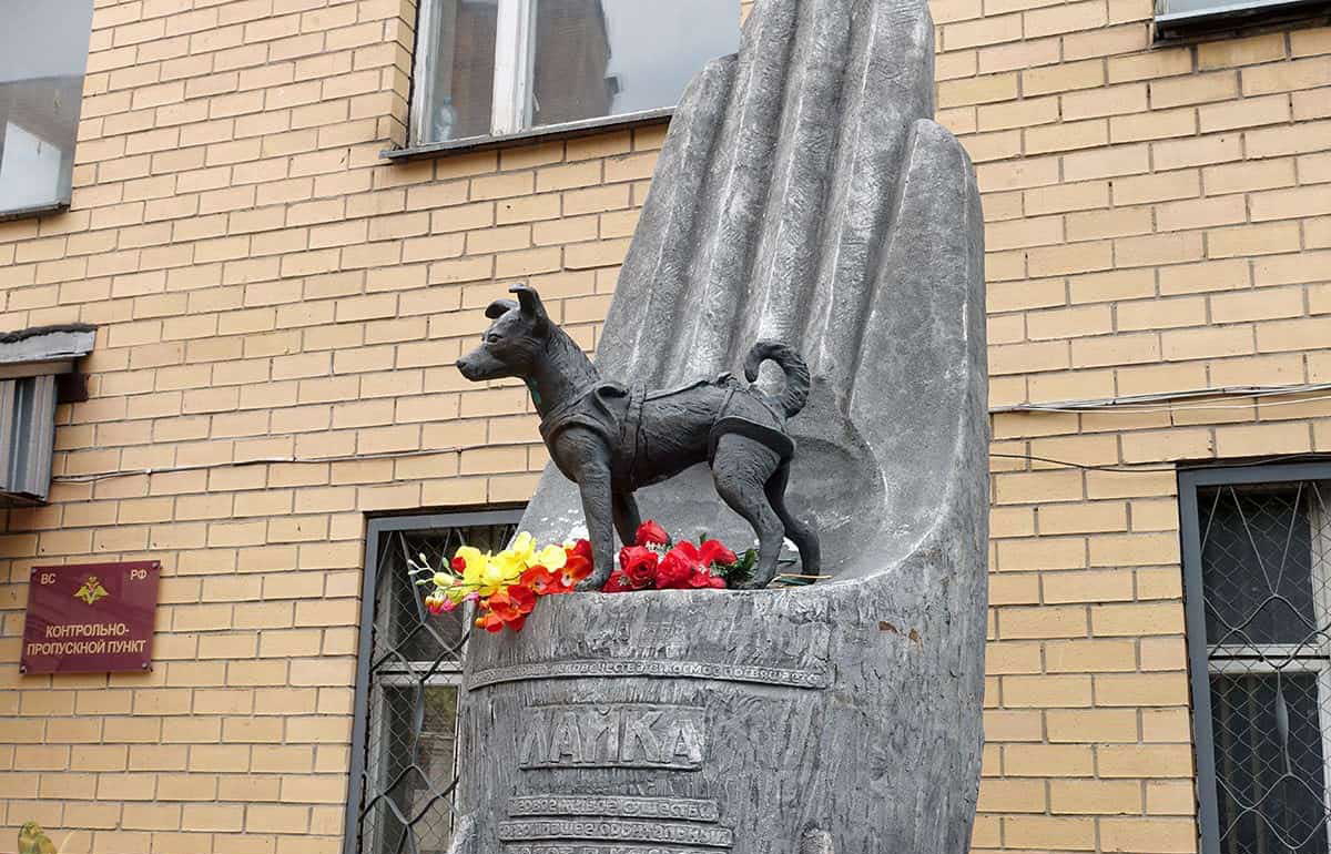 laika monument russia