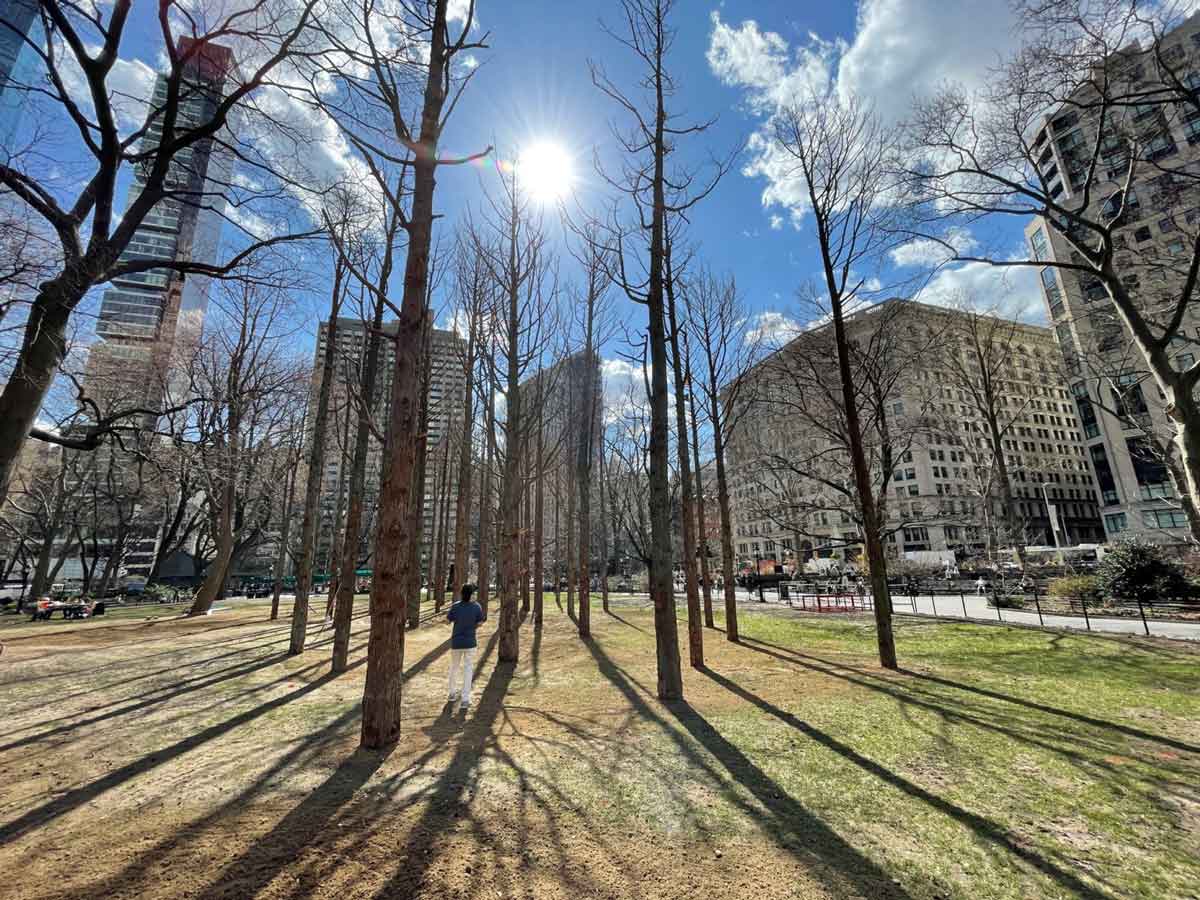 maya lin ghost forest madison park 2021