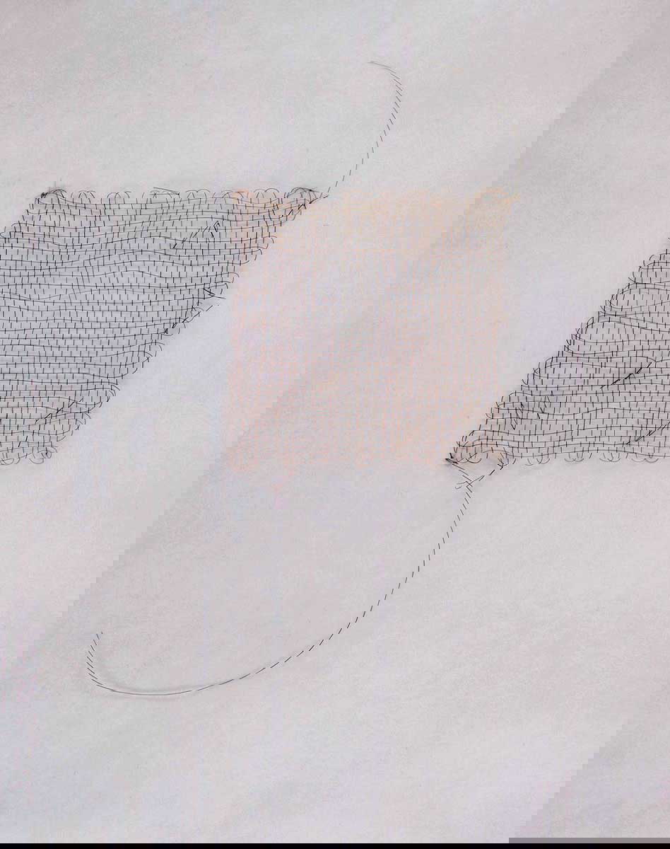 mona hatoum hair grid
