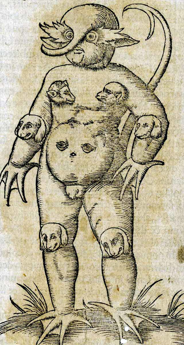 monstrous births monster cracow
