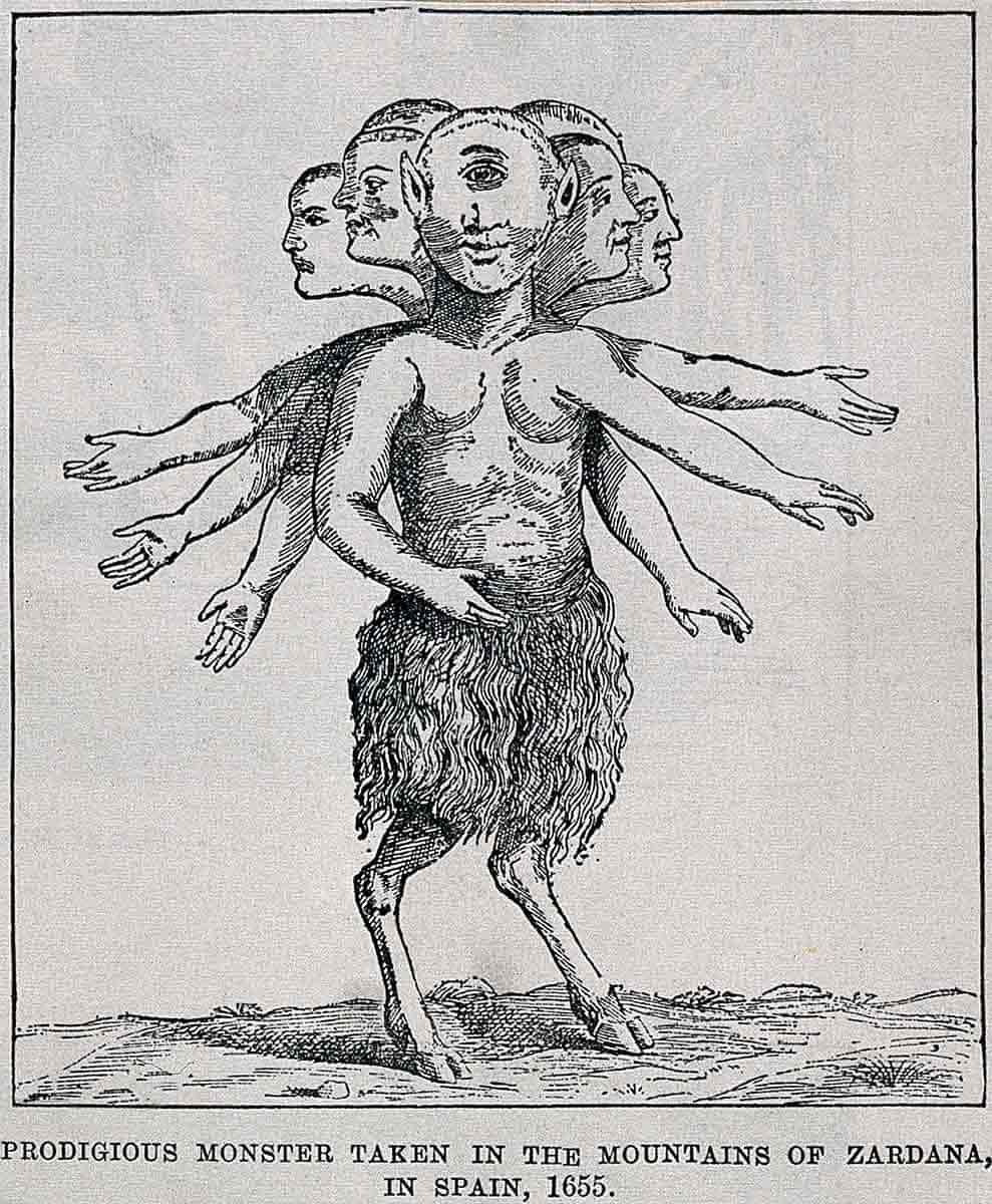 monstrous births seven headed child